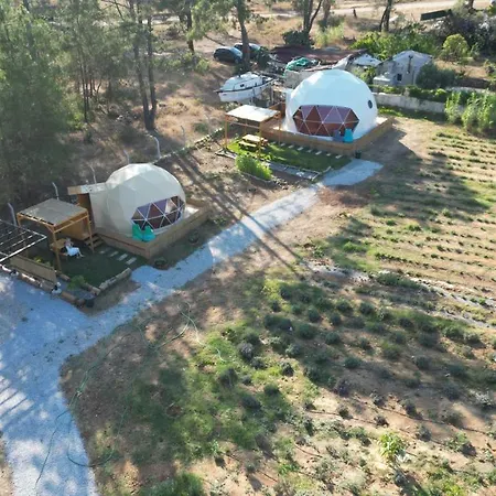 Apartment Pavlonyaguestfarm Marmaris